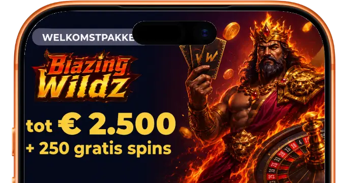 Blazing Wildz Casino banner